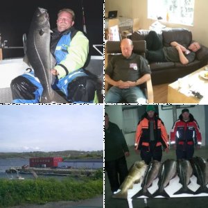 Bilder Reisebericht Froya