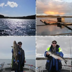 Bilder Reisebericht Hitra/Knarrlagsund