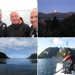 Bilder Reisebericht Nordfjord