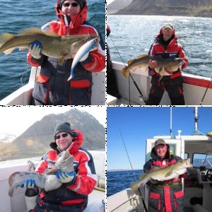 Islandbilder 2011 von didda