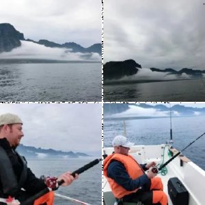 Bilder Reisebericht, Lofoten
