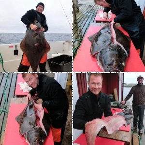 Bilder Heilbuttrezept von Member lofotenknicklicht