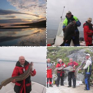 Bilder Reisebericht, Linesøya