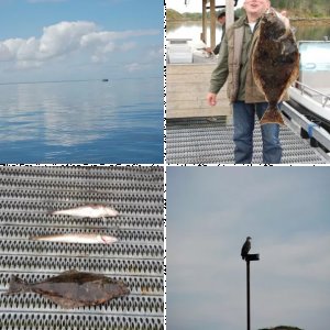 Bilder Reisebericht Hitra Dolmöy