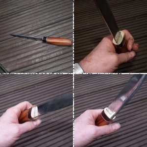 Hier das Schwesterchen mit .. Pflaume