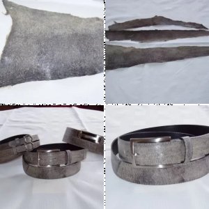 Bilder Member herbbrunn