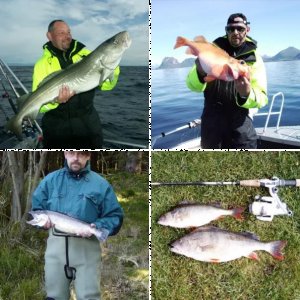 Fänge Süß-und Salzwasser