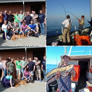 Bilder Reisebericht Gelbes Riff