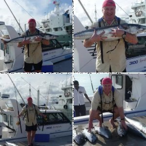 Meine Welt des Fischens