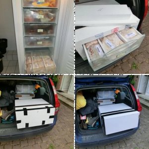 Bau einer isolierten Filet-Transportkiste für Gefrierschrank-Schubladen