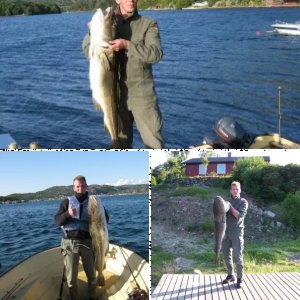 116 cm, 12,5 Kg Dorsch