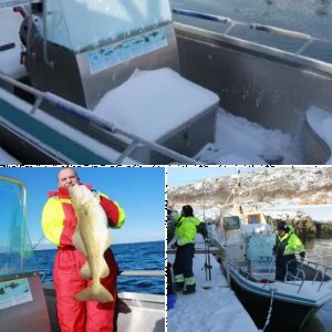 Froya Dorschtage 2013