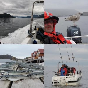 Haugsbygda im September 2013