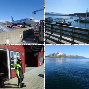 Maribell Kvalsund 2013