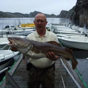 Kvernepollen 08/2011