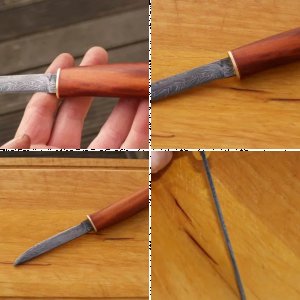 Gemüsemesserchen an Pflaume