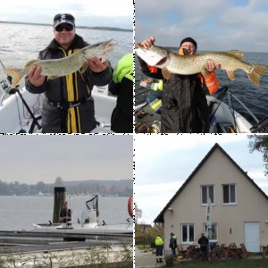 Müritz Oktober 2013