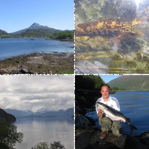 Bofjorden Mai/Juni 2012