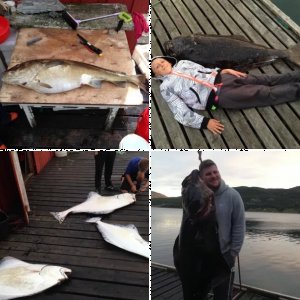 Sommerurlaub Burfjord 2014