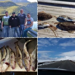 2015 Skjerstadfjord Saltstraumen