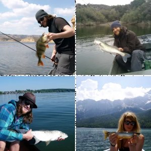 Die Fische und ich....