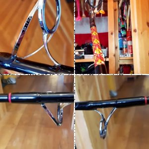 Seven Seas Amberjack