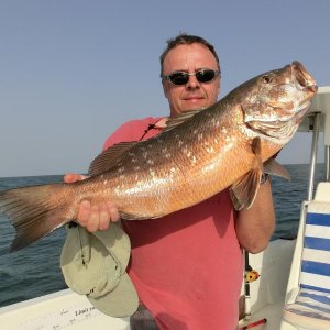 African brown Snapper