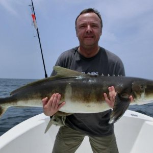 Guinea Bissau Bijagos Acunda   Cobia length World Record