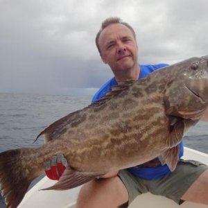 broomtailgrouper