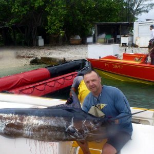Blue Marlin vom 5,5m Boot