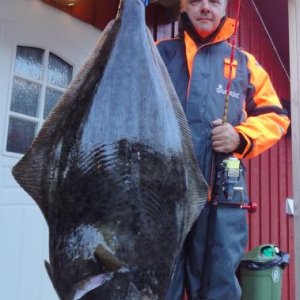 IGFA World Record 30lbs
Atlantic Halibut