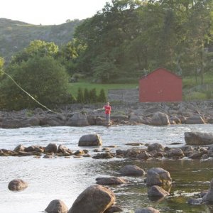 IMG 0429