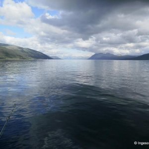 P7130181