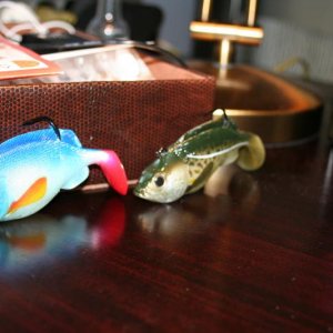 IMG 8269