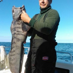 IMG 20130816 WA0005 1