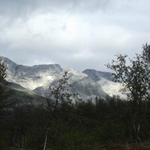 DSCF0813