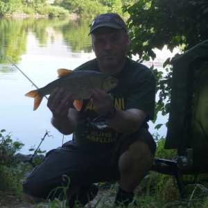 Schönes Rotauge von über einem Kilo, keine Seldenheit am Main