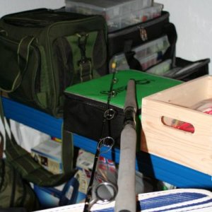 IMG 8382