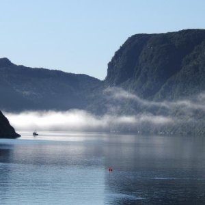 Austfjord im Nebel