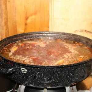 IMG 8524