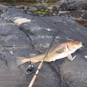 Bofjorden 037