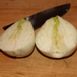 IMG 8566