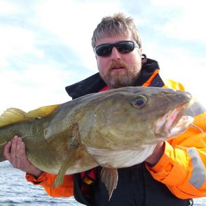 Dorsch 10kg