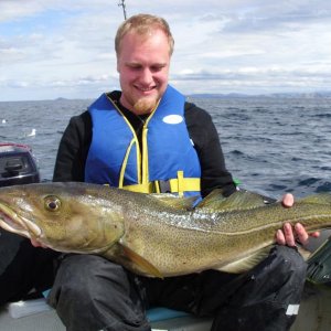 Dorsch 10kg/110cm
