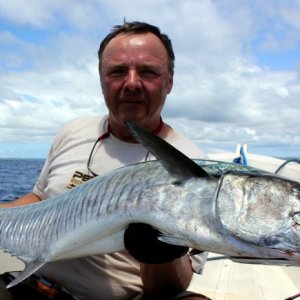 narrowbarred mackerel 1