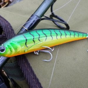 Auf Rapfen und Zander immer gut