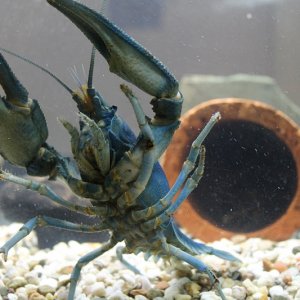 IMG 0475