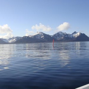 DSC04594