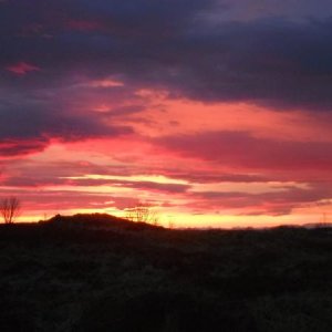 DSCF0911
