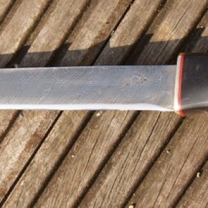 P3066205
